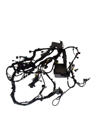 RAMAL ELECTRICO MOTOR KIA PICANTO ION